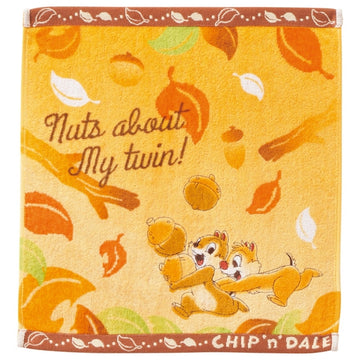 Disney Store Chip &amp; Dale Washcloths Water Nuts Bathroom Accessory