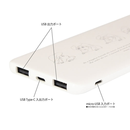 Disney Store - Ariel USB/USB Type-C 4000mAh Lithium-Ionen-Polymer-Ladegerät 2.1A - Technisches Zubehör