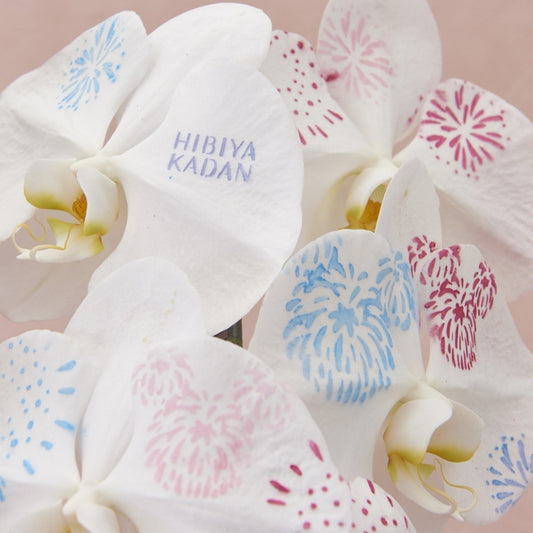 Disney Store - Disney Orchidee "Make-up Orchidee (YUME HANABI)" - Dekorative Blume