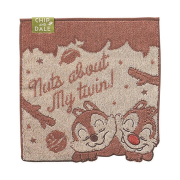 Disney Store Chip &amp; Dale Mini Towel Accessory